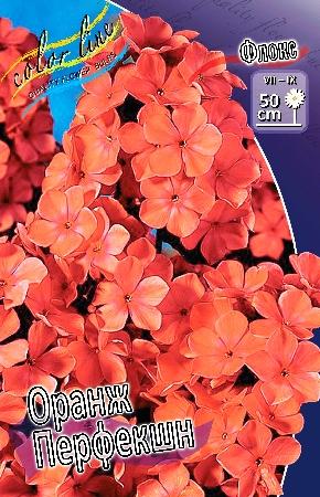Флокс метел Оранж Перфекшн  (ORANGE PERFECTION) конт с1 NCL