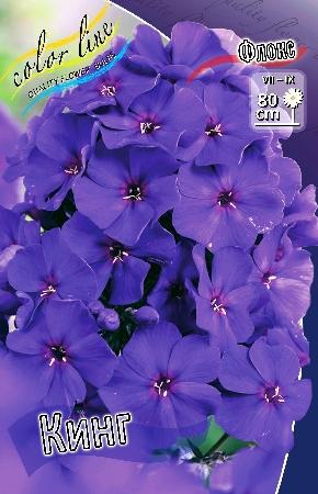 Флокс  paniculata The King (Ф), контейнер с3